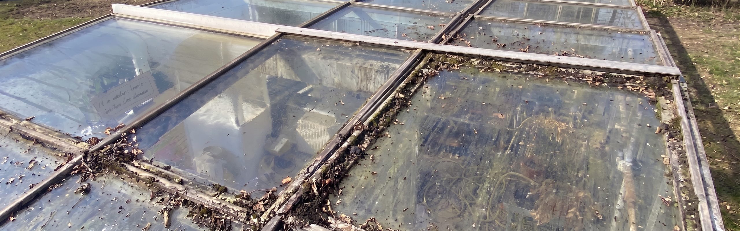 Wintergarten Glas schmutzig